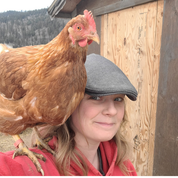 Organic-Fed, Free-Range Eggs (Brown Creek Farm)