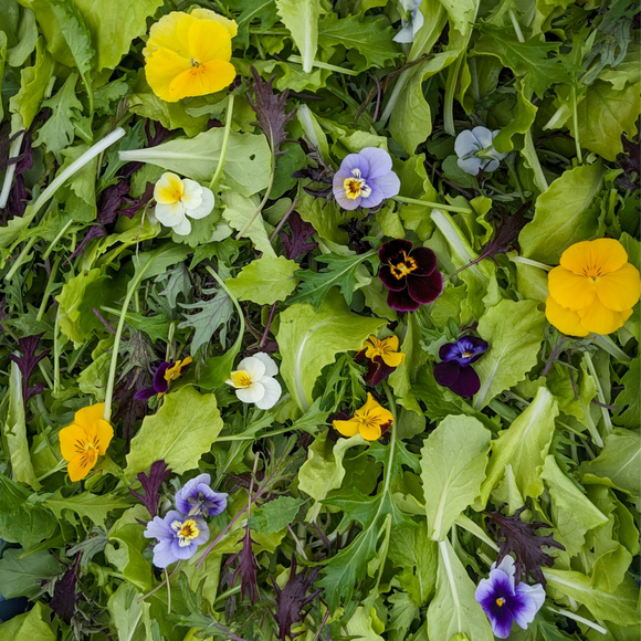 Farmer's Choice Salad Mix